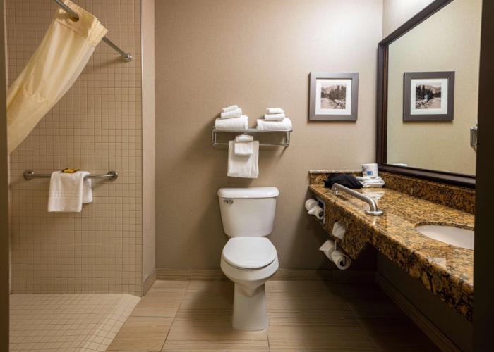 Best Western Plus Fernie Mountain Lodge