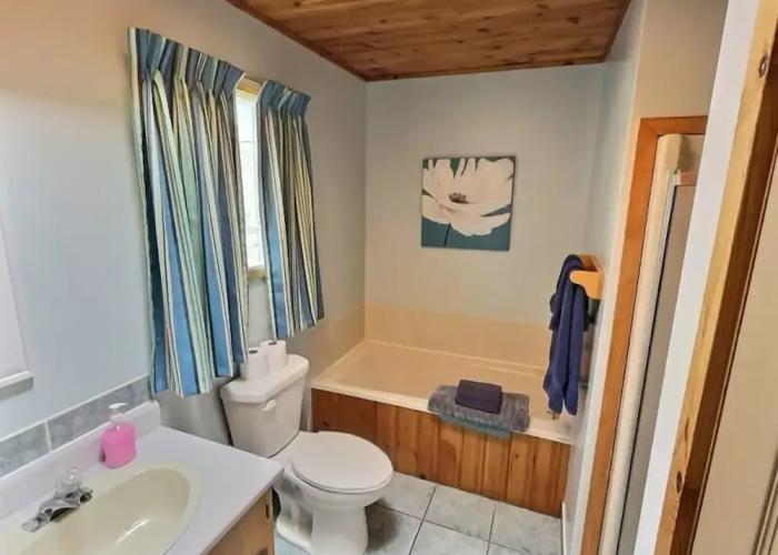 Cavendish Bosom Buddies Cottage Resort