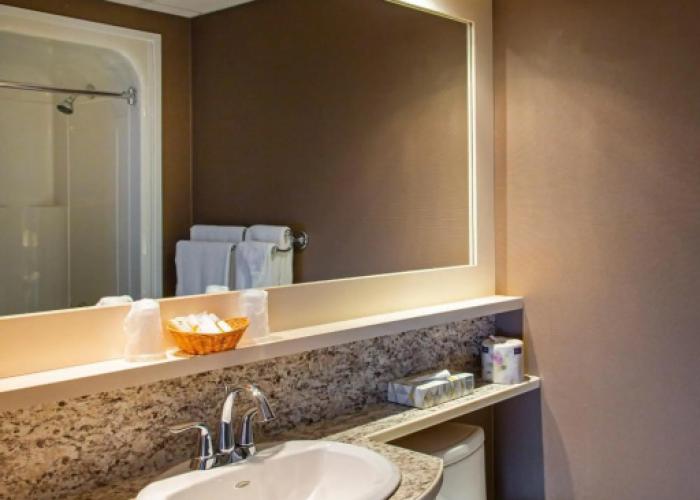 Hotel L'Oiseliere Montmagny