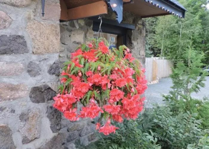 Auberge & Spa Beaux-Rêves