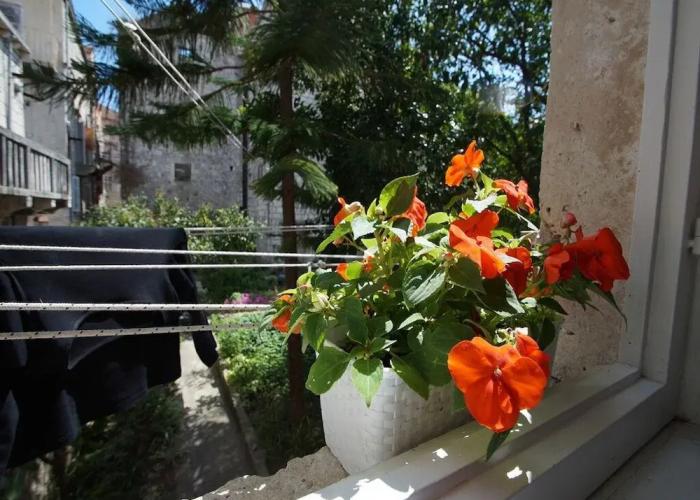 Guesthouse Old Town