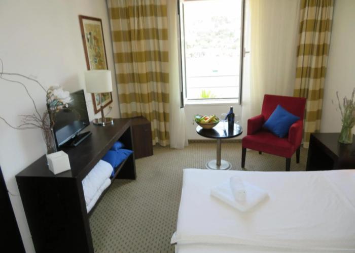 Hotel International