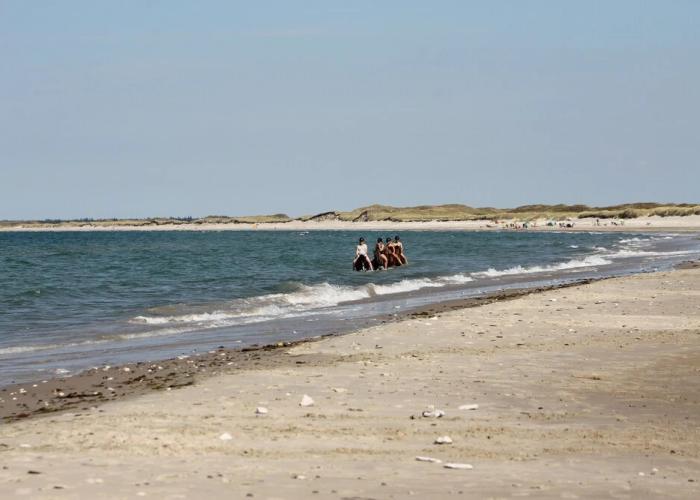 Hanstholm Camping