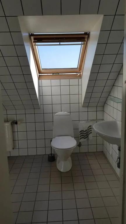 фото Nexø Hostel