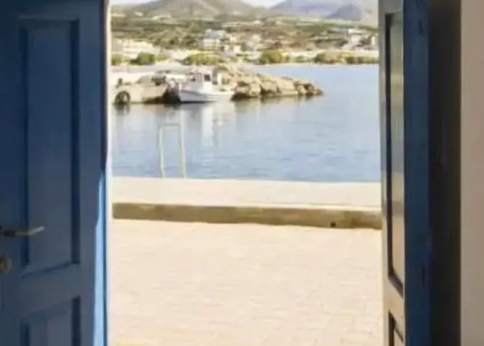 The White Houses