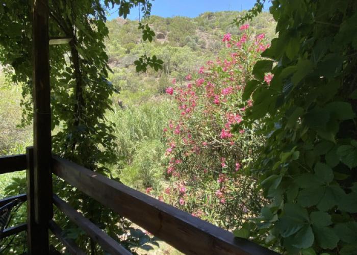 Oleander's Garden Apart-Hotel