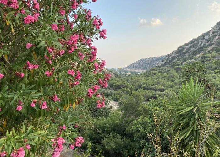 Oleander's Garden Apart-Hotel