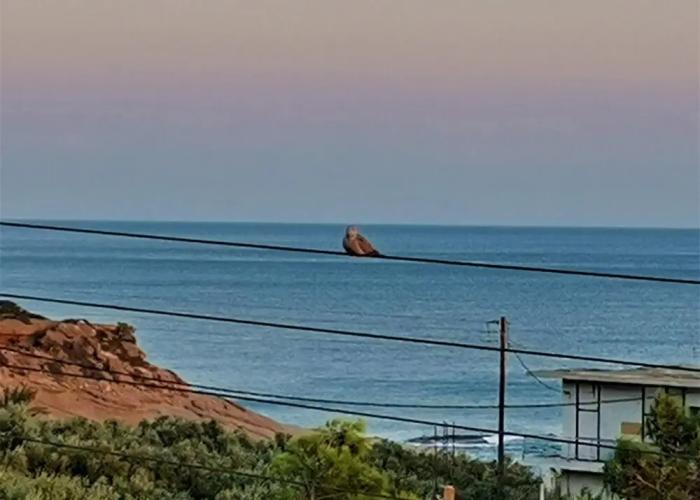 Apartments With Garden View Creta Ierapetra