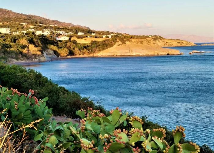 Apartments With Garden View Creta Ierapetra