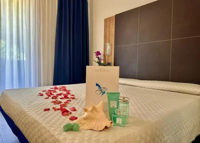 Hotel Fontalleccio