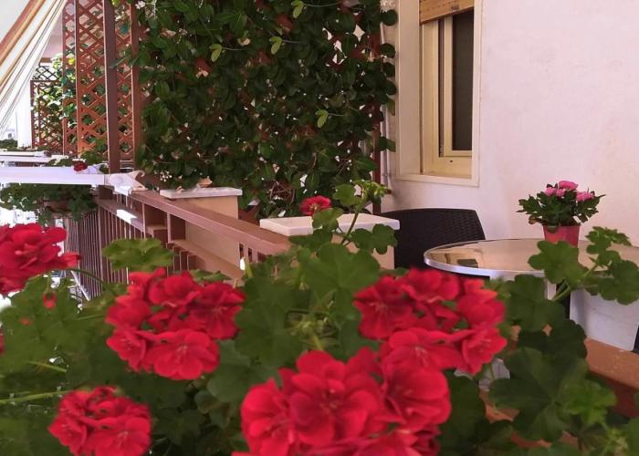 Solaris B&B
