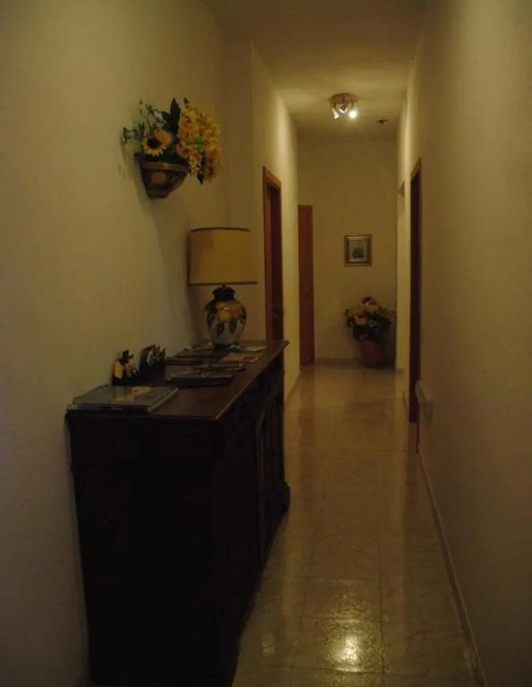 фото Sorecanu
