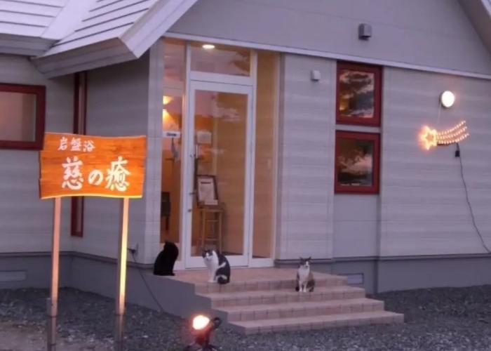 Guesthouse Meguminoyu
