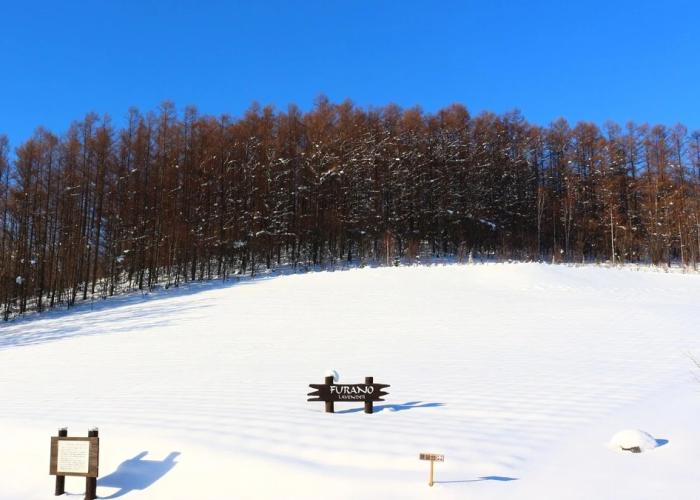 Furano Denen Cottage Nupuri