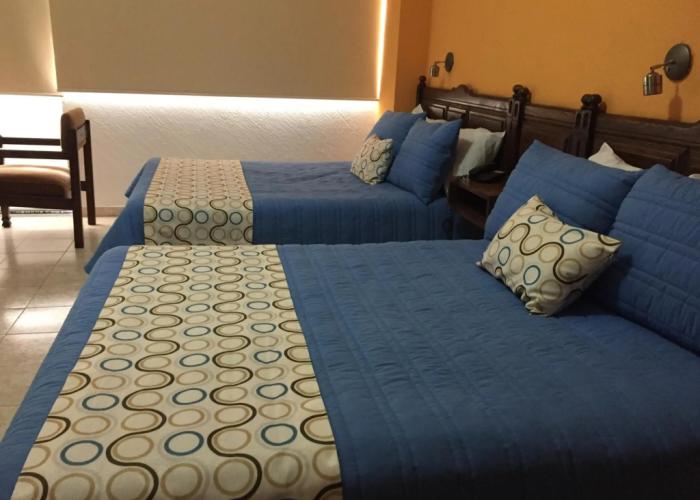 Hotel Palacio
