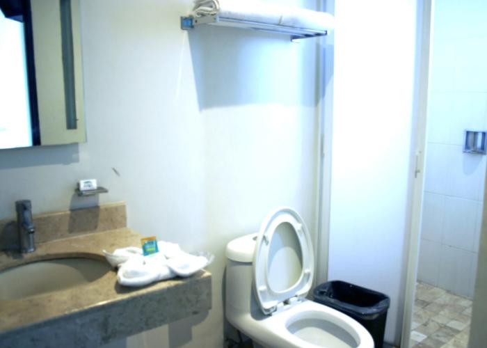 Hotel Rosgaud