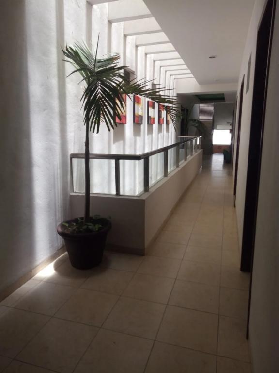 фото Hotel Playa Linda