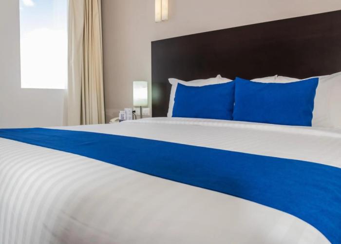 Hotel Zenith