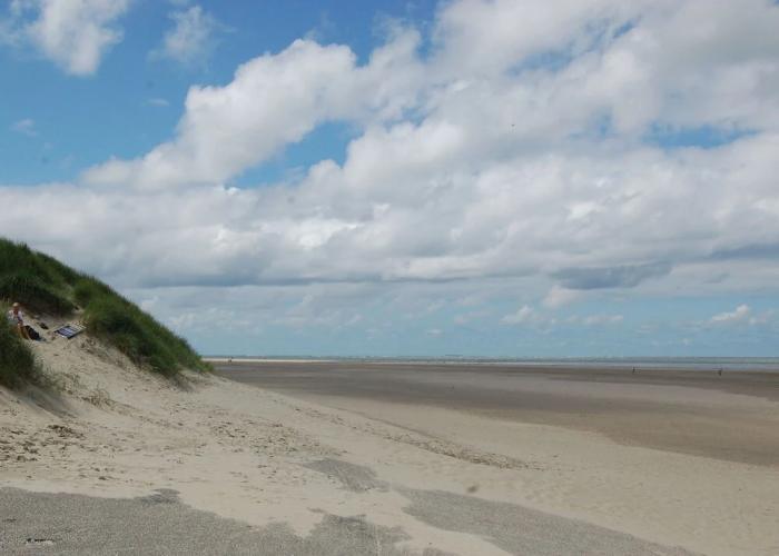 Traditional Villa With two Bathrooms on Texel Near the Sea