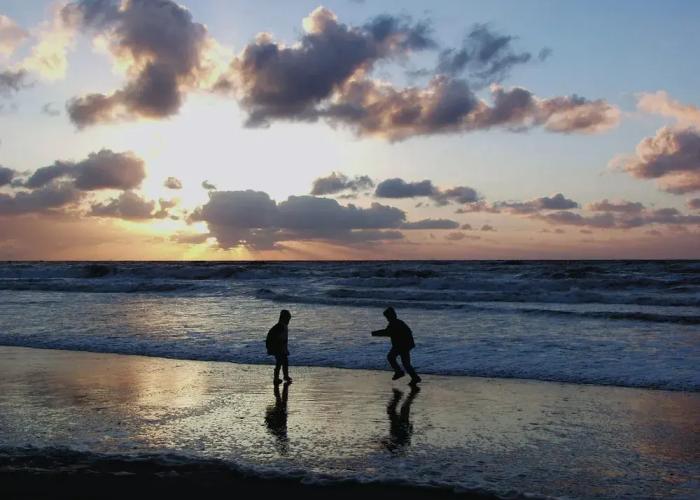 Luxury Chalet With two Bathrooms, Near the sSa on Texel