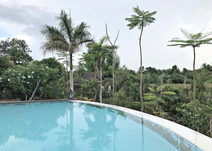 Overlooking Lagoon at Sitio de Amor