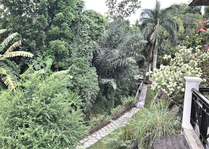 Overlooking Lagoon at Sitio de Amor