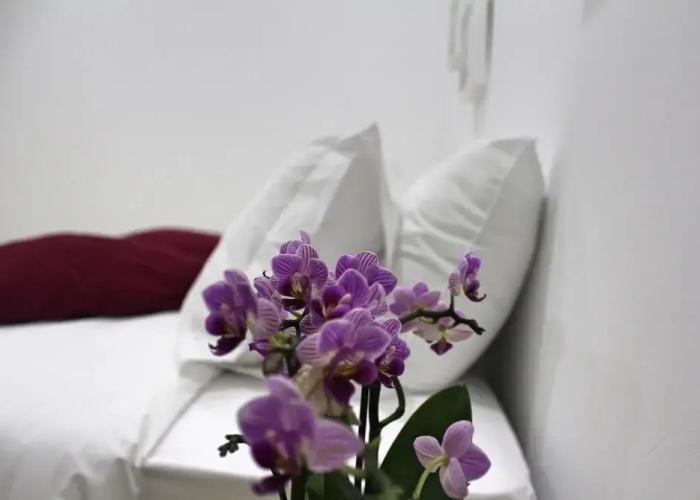 Nine Senses Guest House
