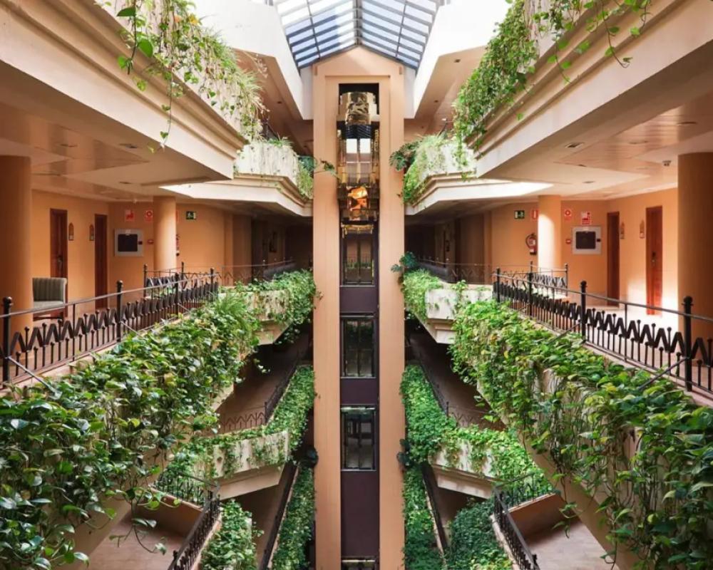 фото Playacanela Hotel