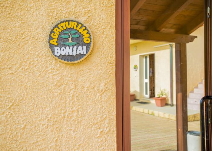 Bonsai B&B Alghero