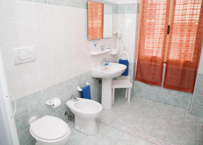 Actinia Accomodation