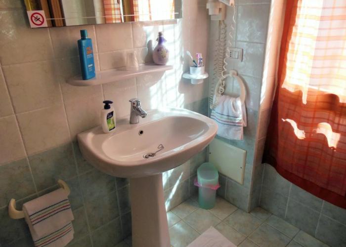 Actinia Accomodation