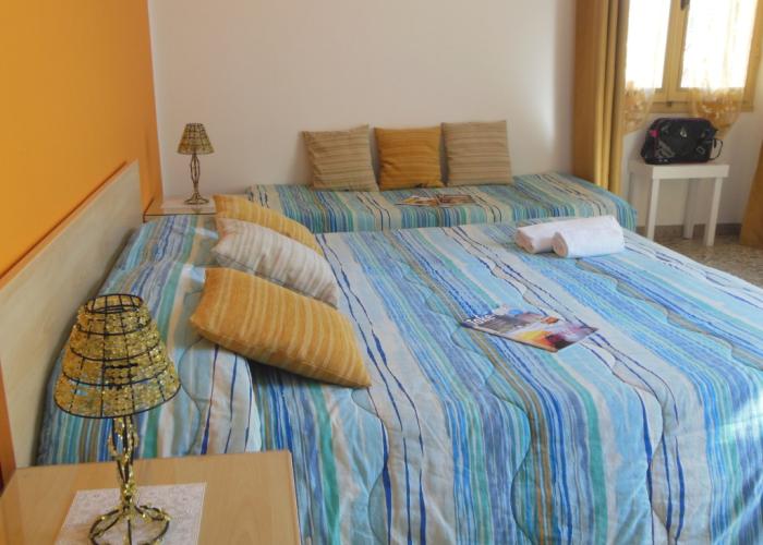 Actinia Accomodation