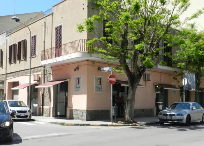 Actinia Accomodation