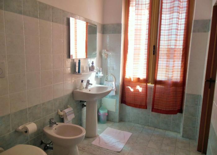 Actinia Accomodation