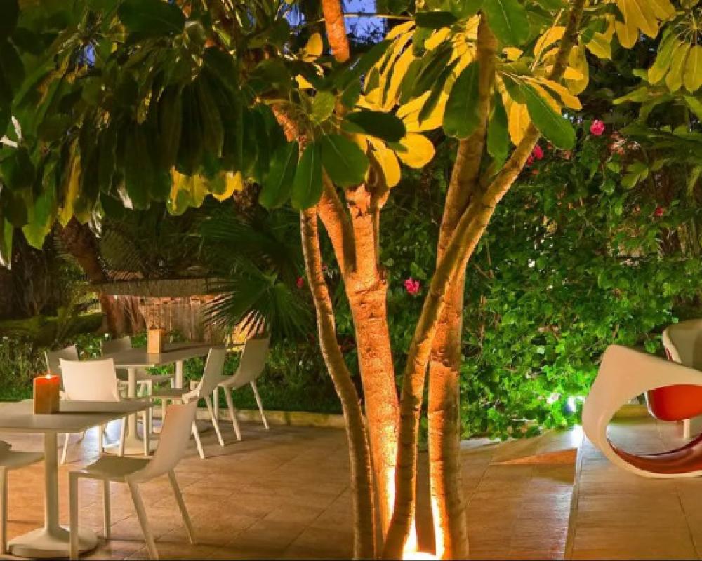 фото Hotel Areca