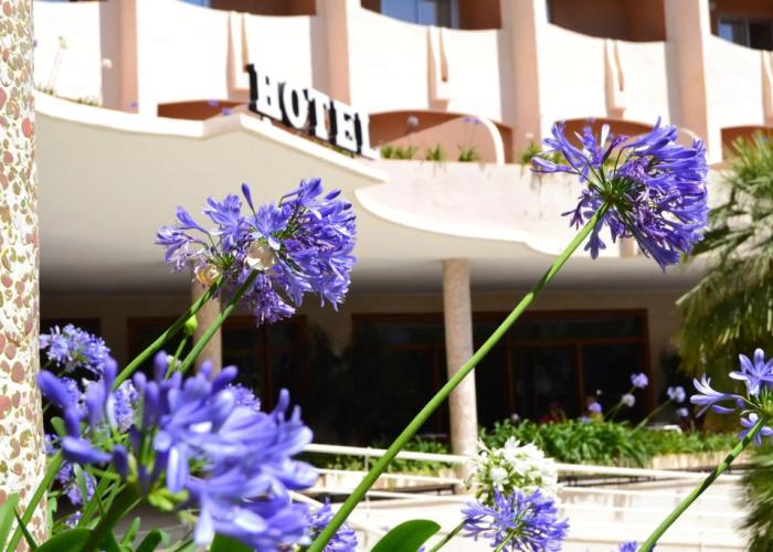 Hotel Los Robles