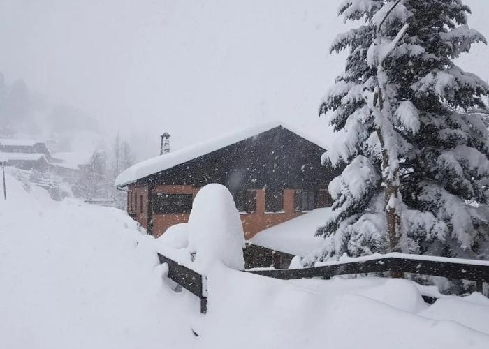 Hostal Xalet Refugi Pere Carné - Hostel