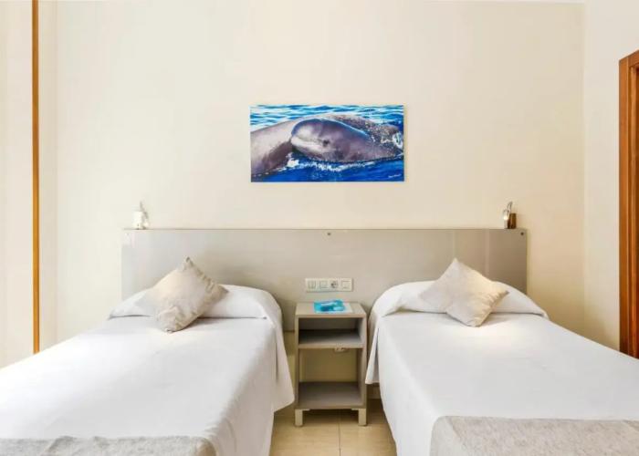 Hotel Andrea's