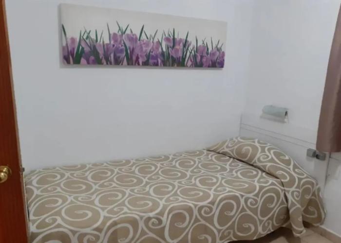 Apartamentos Niza