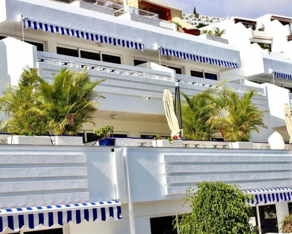 фото Palm Suites