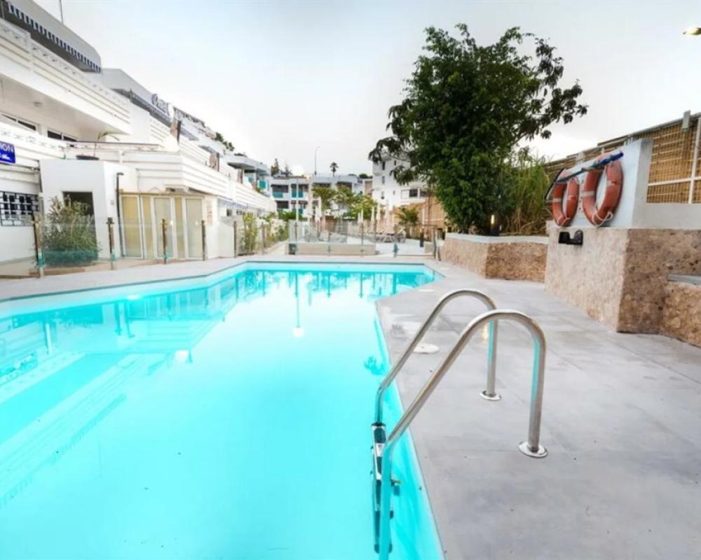 фото Palm Suites