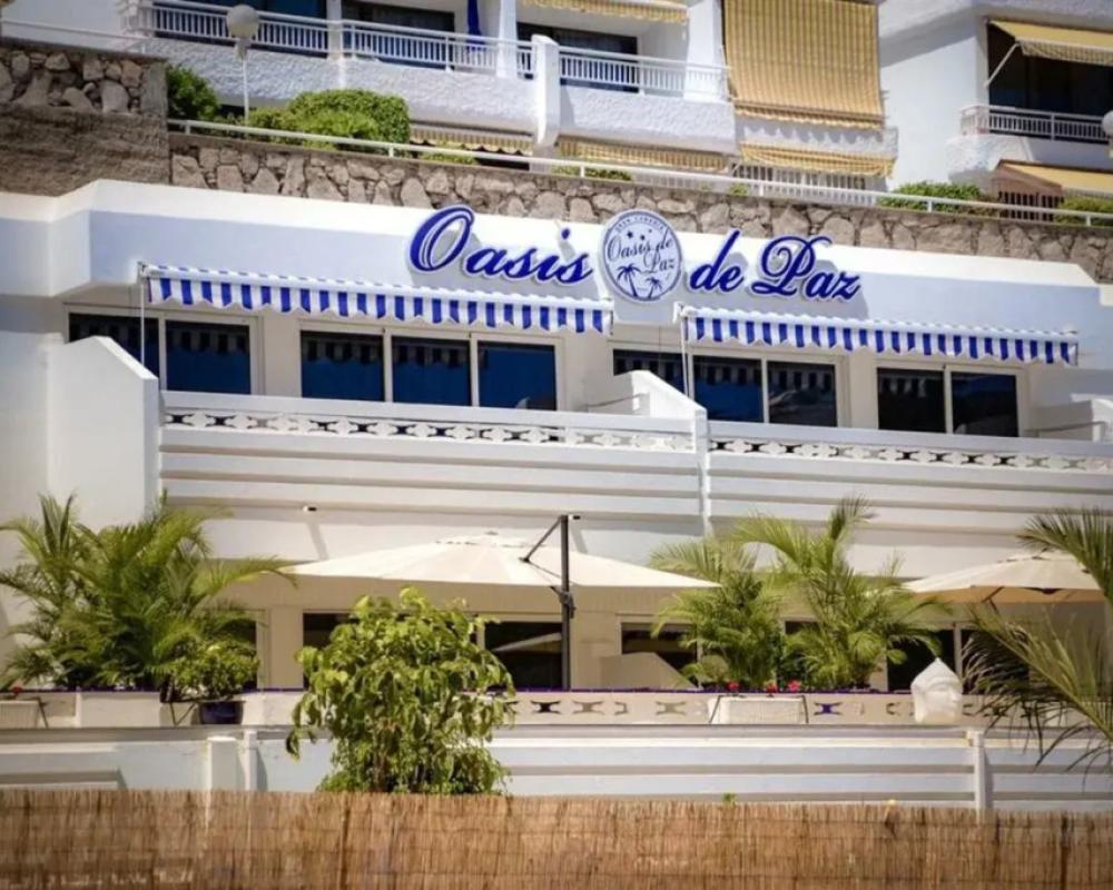 фото Palm Suites