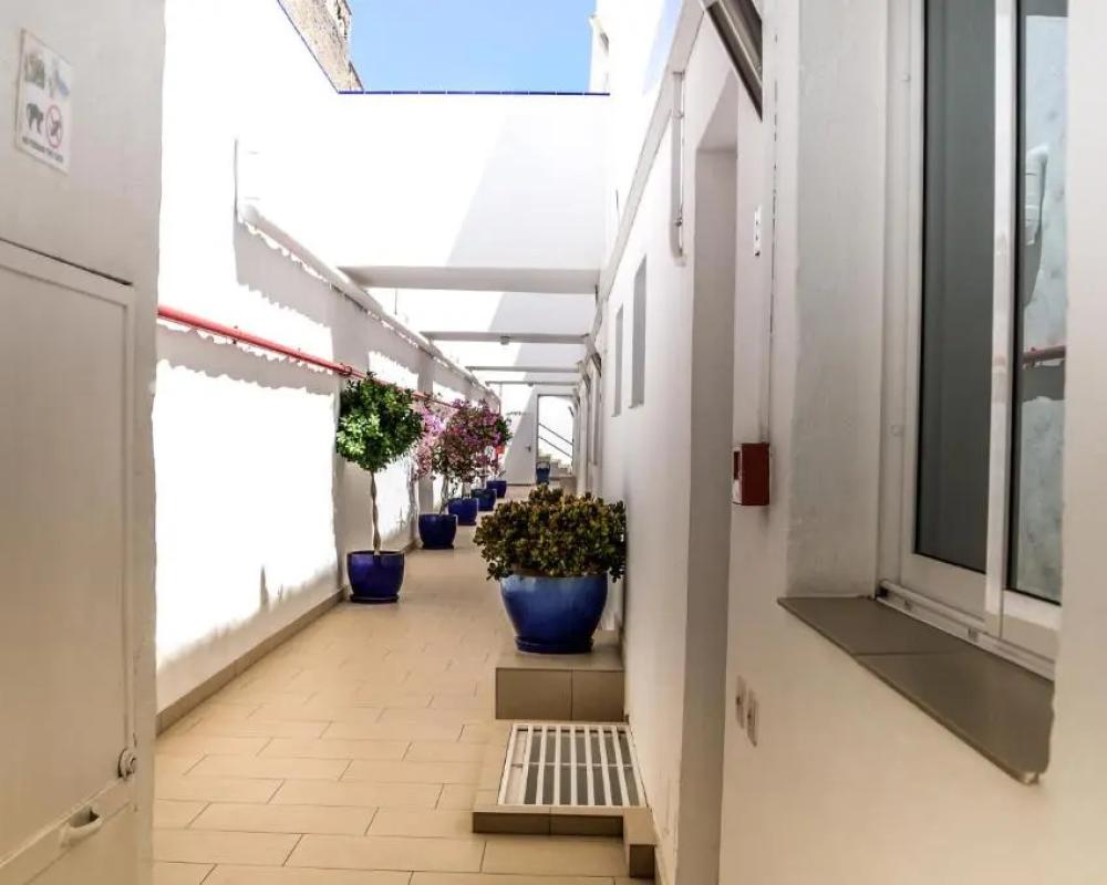 фото Palm Suites
