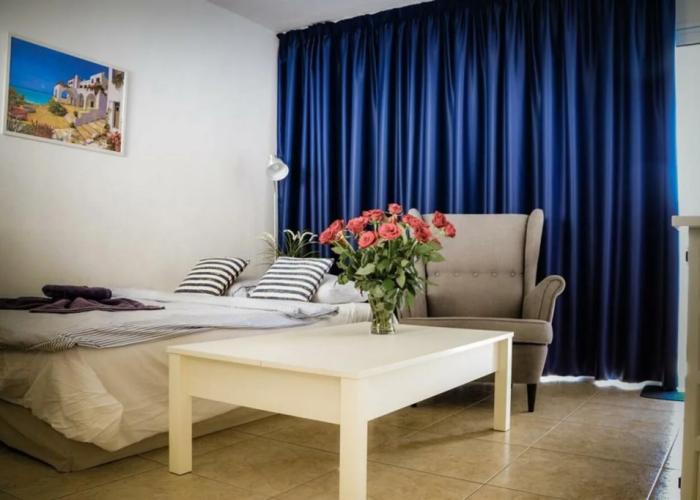 Palm Suites