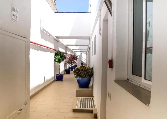 Palm Suites