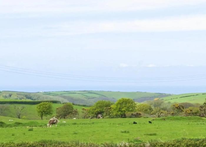 The Old Wainhouse