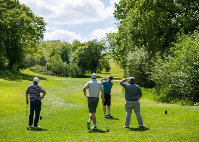 Trethorne Hotel & Golf Club