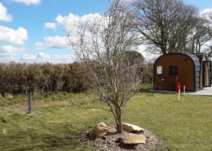 Hornbeam Eco Cabin - Sleeps 2 - Valley View