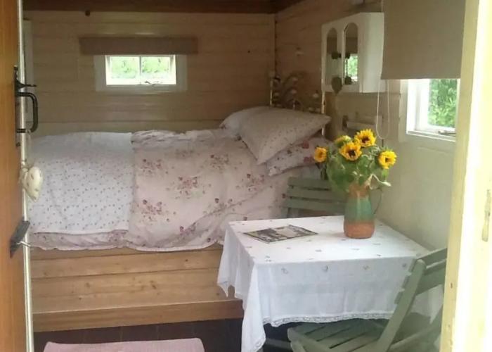 Cosy Shepherds Hut nr Kynance Cove
