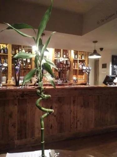 The Stag